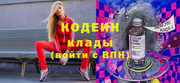 PSILOCYBIN Алзамай
