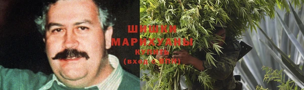 амф Аркадак