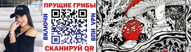 Псилоцибиновые грибы GOLDEN TEACHER  Купить где  Кашира 